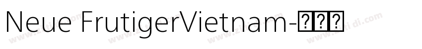 Neue FrutigerVietnam字体转换